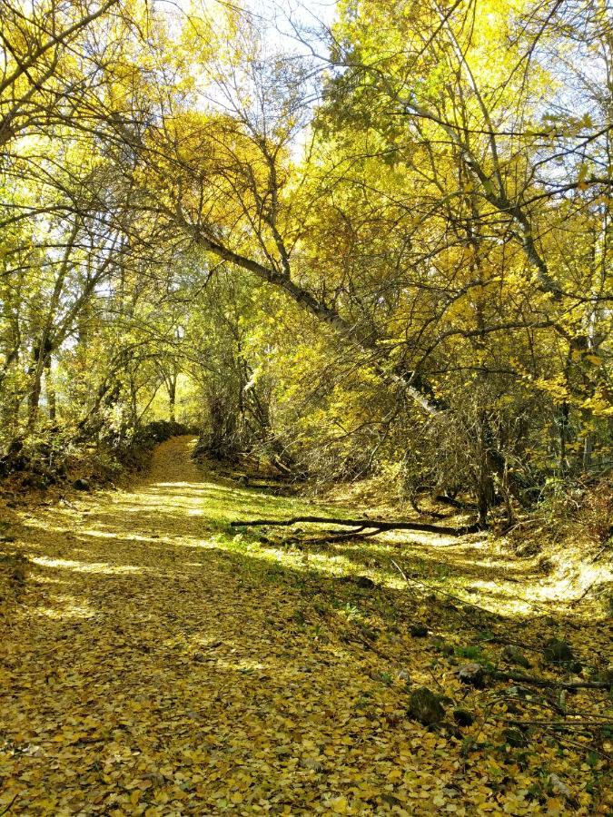 Alameda del ValleLa Majada De Alameda别墅 外观 照片